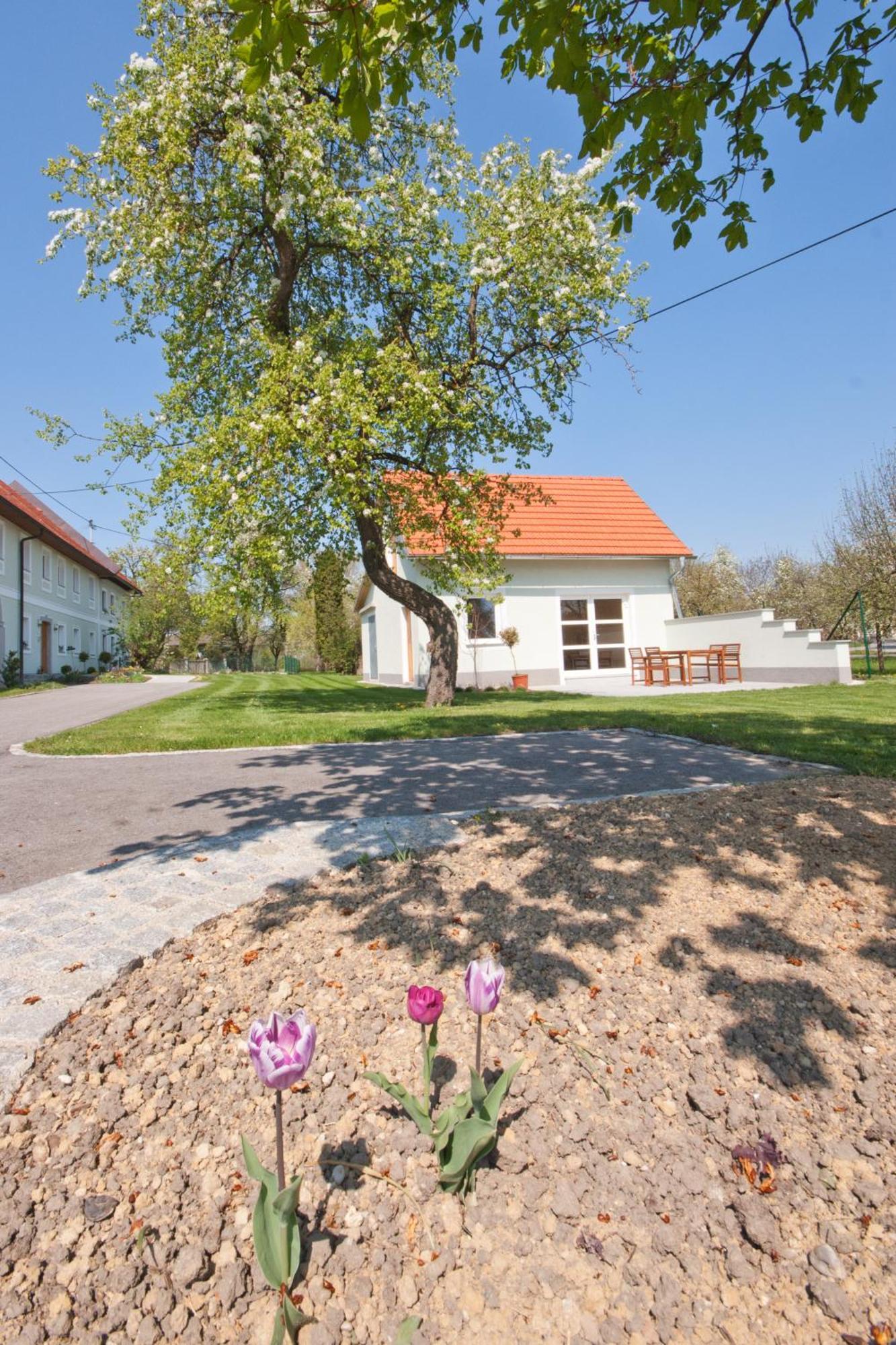 Dietach Landhaus Essl מראה חיצוני תמונה