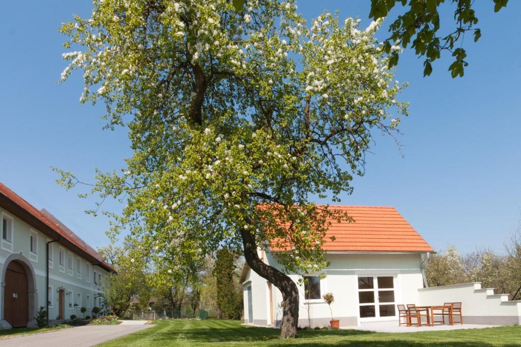 מלון Dietach Landhaus Essl מראה חיצוני תמונה